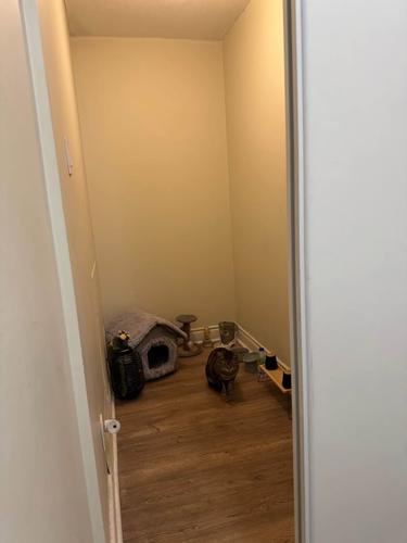 Appartement de 2 chambres à louer à Gatineau — photo 7