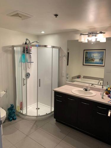 Appartement de 3 chambres à louer à Laval — photo 7