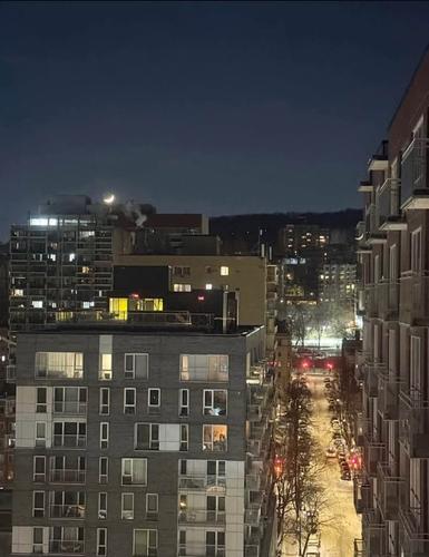 1 bedroom apartment for rent in Montreal - Ville-Marie — photo 6