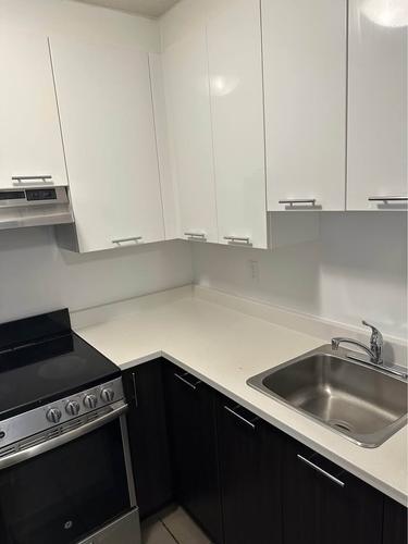Appartement de 1 chambre à louer à Gatineau — photo 4