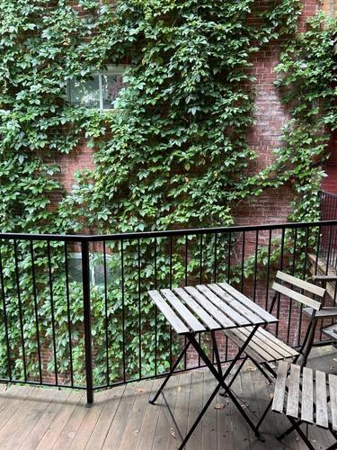 1 bedroom apartment for rent in Montreal - Le Plateau-Mont-Royal — photo 15
