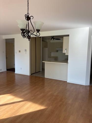 2 bedrooms apartment for rent in Lévis — photo 4