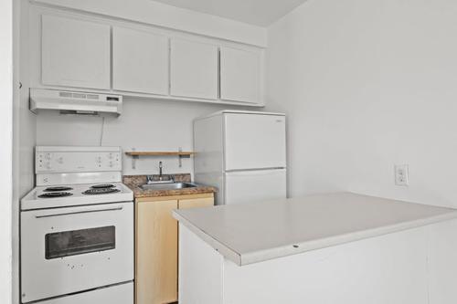 1 bedroom apartment for rent in Montreal - Rosemont–La Petite-Patrie — photo 3