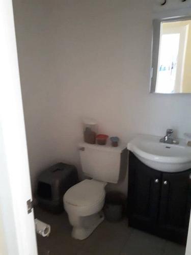 Appartement de 3 chambres à louer à Montreal - Verdun — photo 4