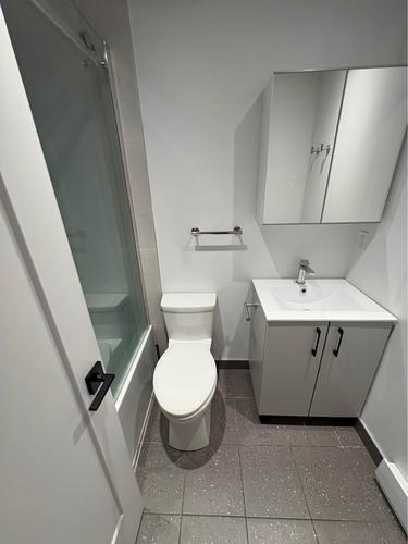 1 bedroom apartment for rent in Montreal - Saint-Laurent — photo 2