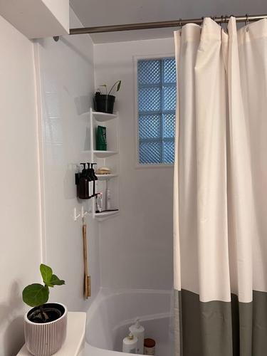 Appartement de 2 chambres à louer à Gatineau — photo 8