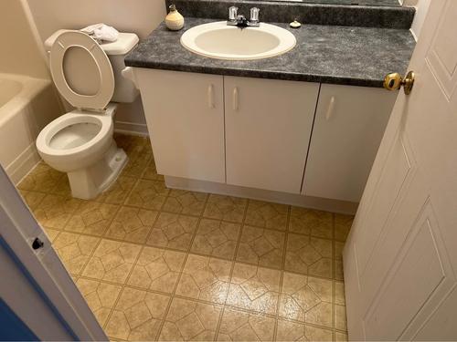 Appartement de 1 chambre à louer à Gatineau — photo 7