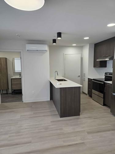 1 bedroom apartment for rent in Montreal - Rivière-des-Prairies–Pointe-aux-Trembles — photo 12