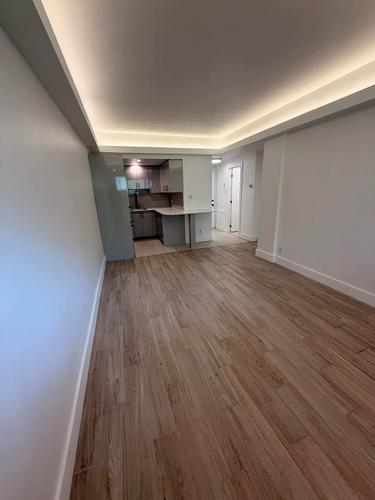 1 bedroom apartment for rent in Montreal - Ahuntsic-Cartierville — photo 3