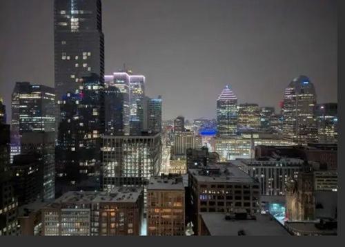 1 bedroom apartment for rent in Montreal - Ville-Marie — photo 6