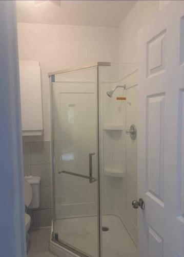 Appartement de 2 chambres à louer à Québec - La Cité-Limoilou — photo 11