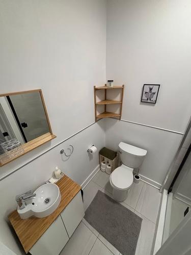 Appartement de 4 chambres à louer à Montreal - Le Plateau-Mont-Royal — photo 24