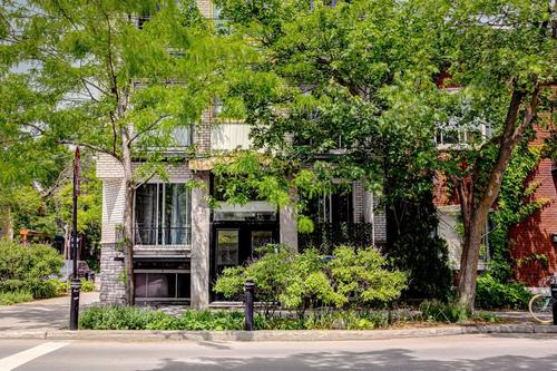2 bedrooms apartment for rent in Montreal - Le Plateau-Mont-Royal — photo 25