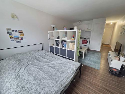 1 bedroom apartment for rent in Montreal - Le Plateau-Mont-Royal — photo 2