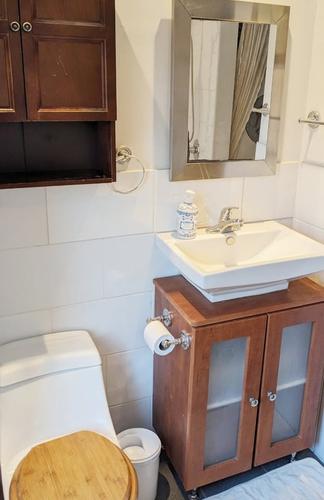 1 bedroom apartment for rent in Montreal - Le Plateau-Mont-Royal — photo 8