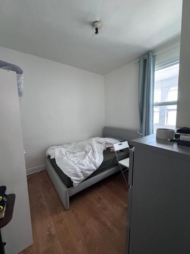 2 bedrooms apartment for rent in Montreal - Rosemont–La Petite-Patrie — photo 3