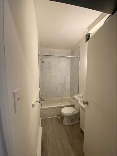 Appartement de 2 chambres à louer à Montreal - Rosemont–La Petite-Patrie — photo 9