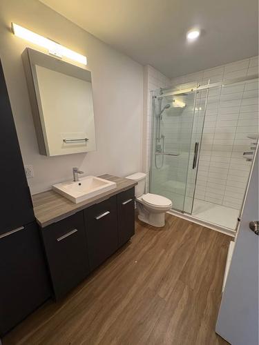 Appartement de 1 chambre à louer à Montreal - Rosemont–La Petite-Patrie — photo 8