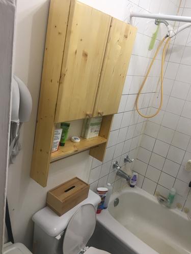 1 bedroom apartment for rent in Lévis — photo 10