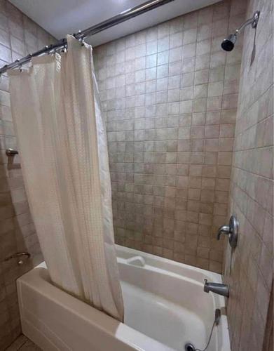 Appartement de 1 chambre à louer à Montréal — photo 5