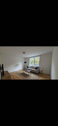 Appartement de 2 chambres à louer à Québec - La Cité-Limoilou — photo 14