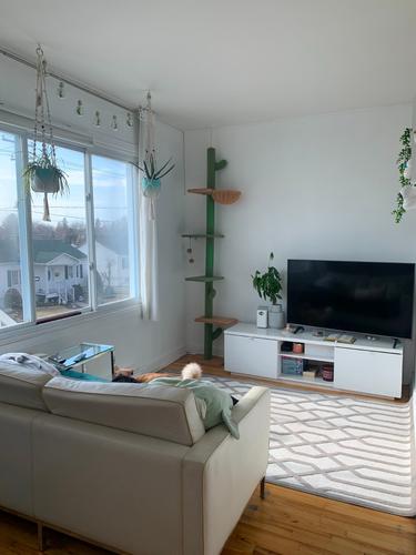 Appartement de 2 chambres à louer à Laval — photo 3