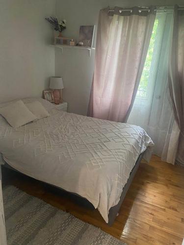 1 bedroom apartment for rent in Montreal - Le Plateau-Mont-Royal — photo 3