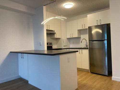 1 bedroom apartment for rent in Gatineau — photo 7