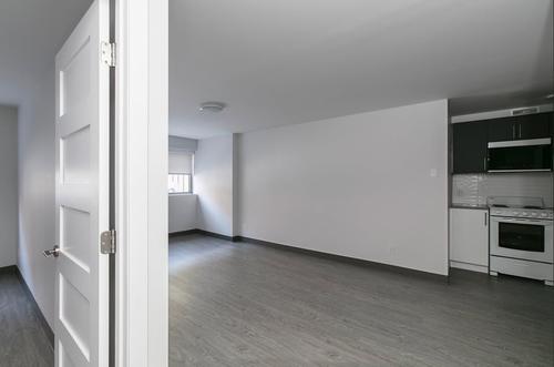 1 bedroom apartment for rent in Montreal - Le Plateau-Mont-Royal — photo 10