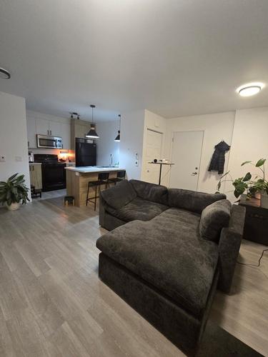 1 bedroom apartment for rent in Sherbrooke — photo 4