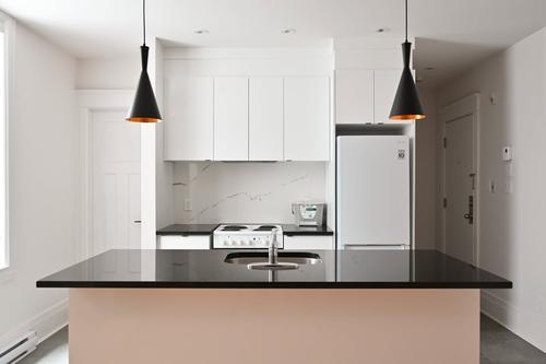 2 bedrooms apartment for rent in Montreal - Le Plateau-Mont-Royal — photo 4