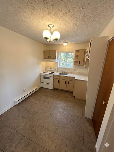 Appartement de 1 chambre à louer à Sherbrooke — photo 5