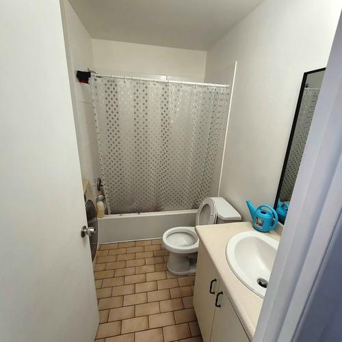 2 bedrooms apartment for rent in Lévis — photo 7