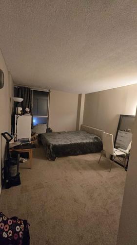 1 bedroom apartment for rent in Gatineau — photo 6