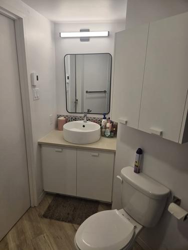 Appartement de 2 chambres à louer à Lévis — photo 9
