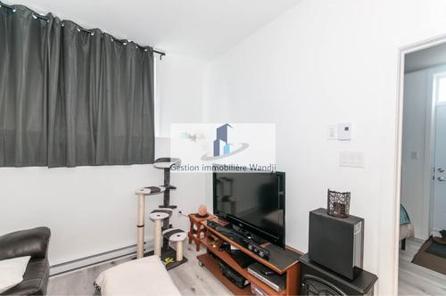 Appartement de 1 chambre à louer à Gatineau — photo 4