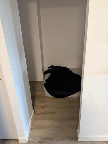 Appartement de 1 chambre à louer à Gatineau — photo 2