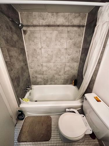 Appartement de 1 chambre à louer à Montreal - Le Plateau-Mont-Royal — photo 13