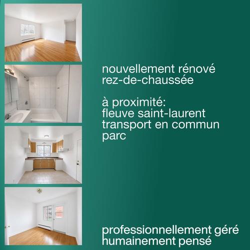 Appartement de 3 chambres à louer à Longueuil — photo 8