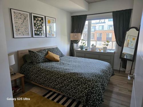 Appartement de 1 chambre à louer à Québec - La Cité-Limoilou — photo 4