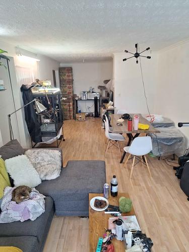Appartement de 3 chambres à louer à Québec - La Haute-Saint-Charles — photo 7