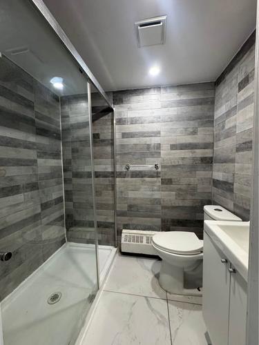 1 bedroom apartment for rent in Montreal - Rosemont–La Petite-Patrie — photo 8