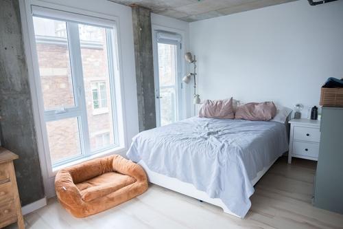 Appartement de 1 chambre à louer à Québec - La Cité-Limoilou — photo 8