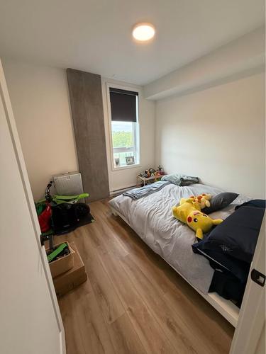 2 bedrooms apartment for rent in Lévis — photo 11