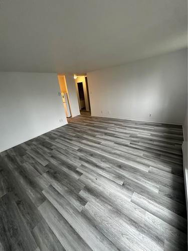 1 bedroom apartment for rent in Gatineau — photo 3