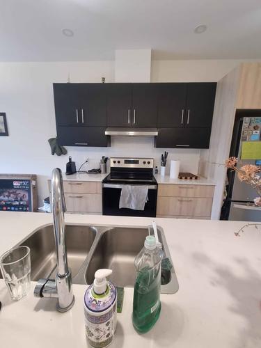 1 bedroom apartment for rent in Gatineau — photo 4