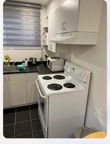 1 bedroom apartment for rent in Montreal - Le Plateau-Mont-Royal — photo 2