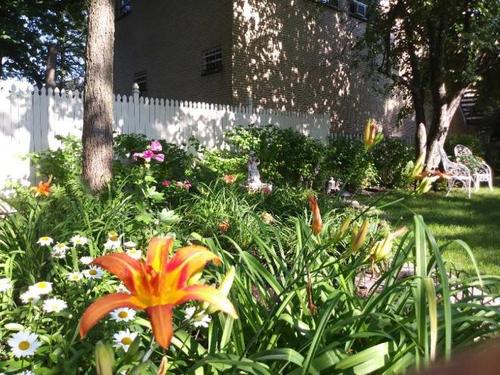 3 bedrooms apartment for rent in Lévis — photo 18