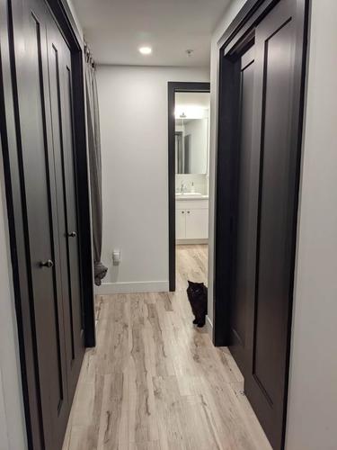 1 bedroom apartment for rent in Québec - La Cité-Limoilou — photo 7