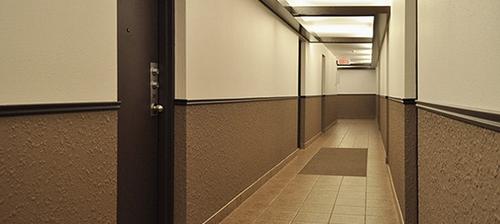 1 bedroom apartment for rent in Québec - La Cité-Limoilou — photo 11